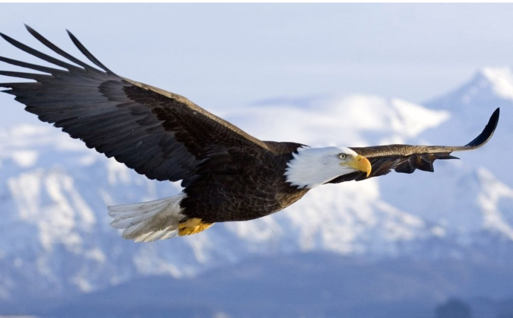 Megújul ifjúságod